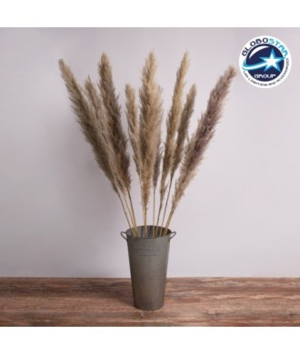 GLOBOSTAR® PAMPASGRASS 36514 Αποξηραμένο Διακοσμητικό Μπουκέτο Γρασίδι της Πάμπας - Καφέ - Μ20 x Π20 x Υ150cm - Πακέτο 5 Τεμαχίων